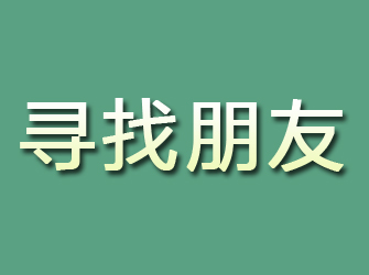 金平寻找朋友